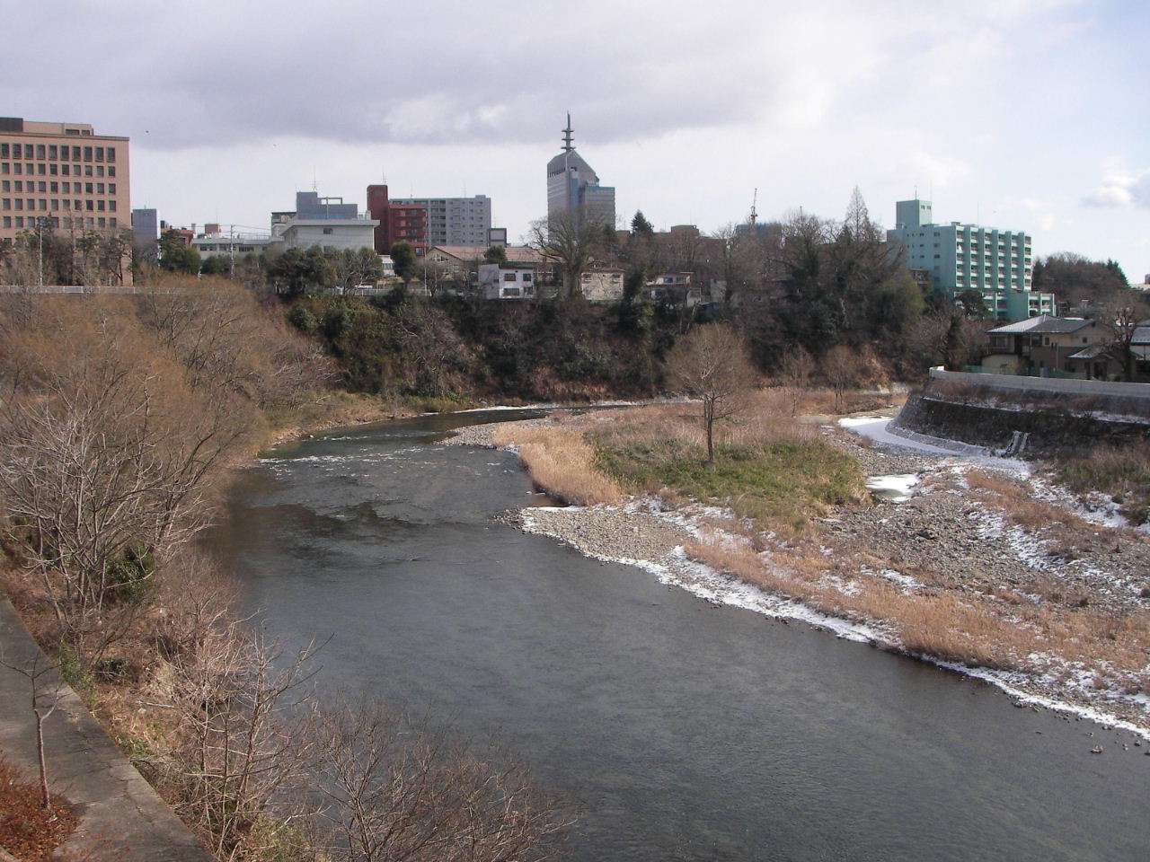 冬の広瀬川散策　（片平～評定河原橋）_f0100593_14202584.jpg