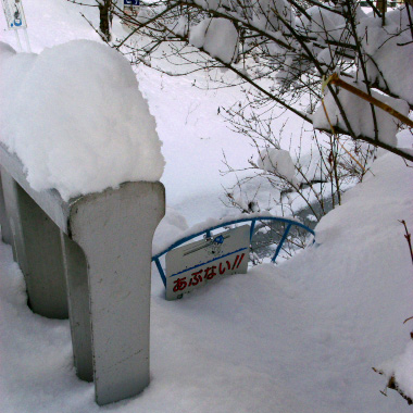 どか雪、振りました_f0003598_23305338.jpg