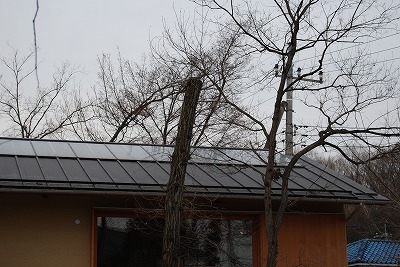 c0124100_1523444.jpg
