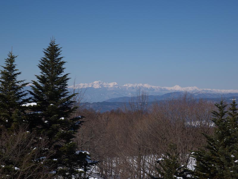 今朝原村は−１６℃だったそうな_c0137403_181342.jpg