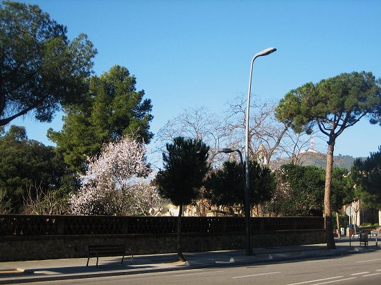 b0064411_781660.jpg