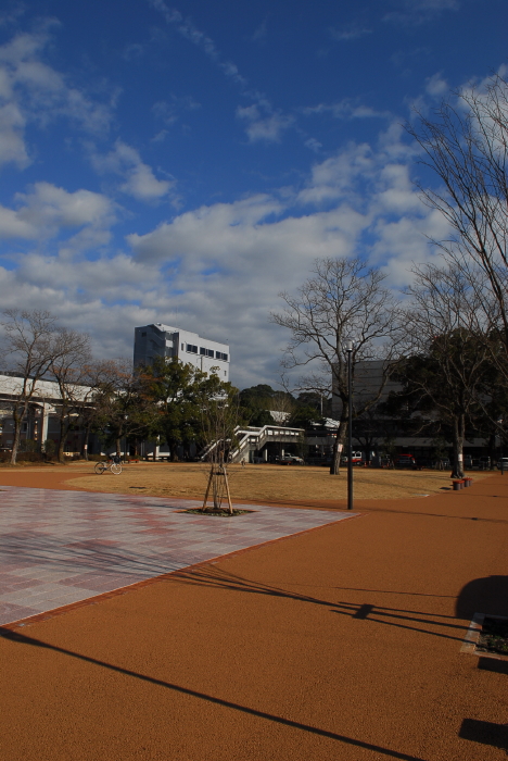 中央公園のこと_d0047811_2072034.jpg