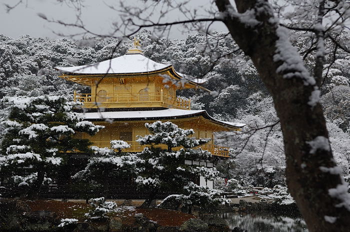 予想外の雪模様　金閣寺編その二_f0032011_19491491.jpg