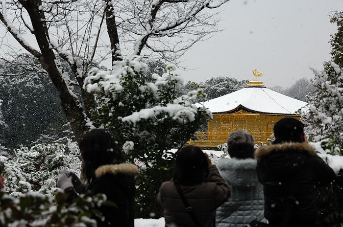 予想外の雪模様　金閣寺編その二_f0032011_1950339.jpg