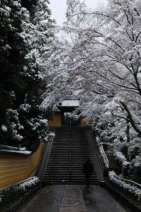 予想外の雪模様　金閣寺編その二_f0032011_19513039.jpg