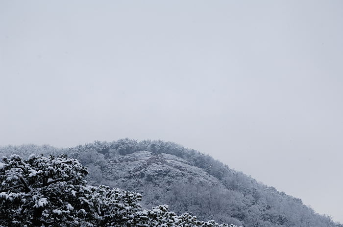 予想外の雪模様　金閣寺編その二_f0032011_19514624.jpg