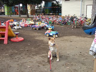 d0143214_21195630.jpg