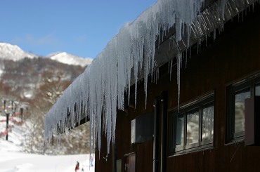 f0142717_04986.jpg
