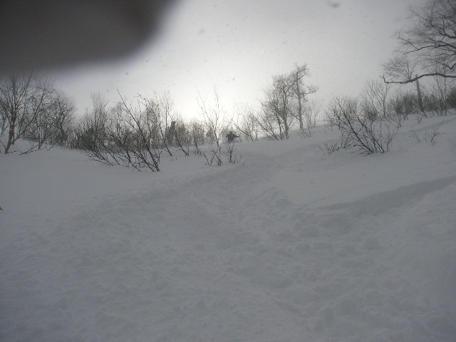 e0067218_8531890.jpg