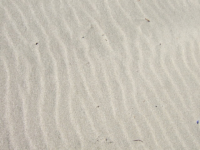 f0143119_2210378.jpg
