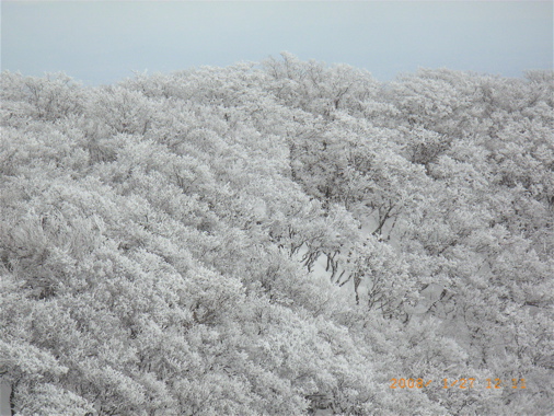 藤原岳_e0058731_2359207.jpg