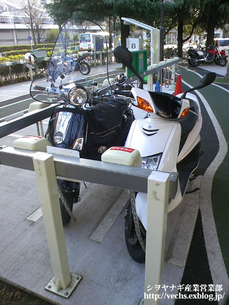 c0108934_525832.jpg
