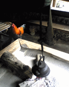 f0063944_1645532.gif