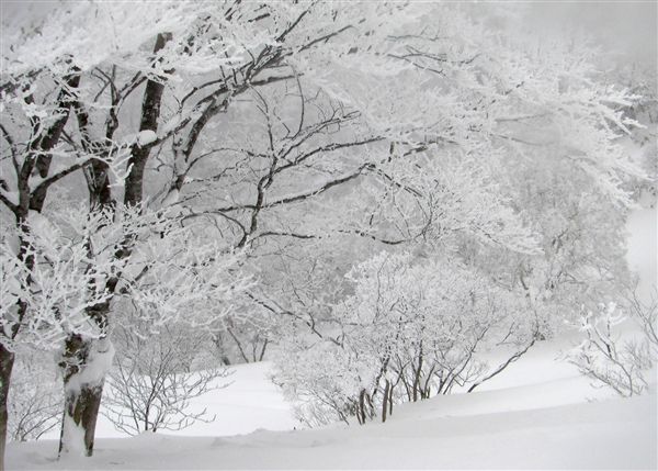c0081645_2322449.jpg