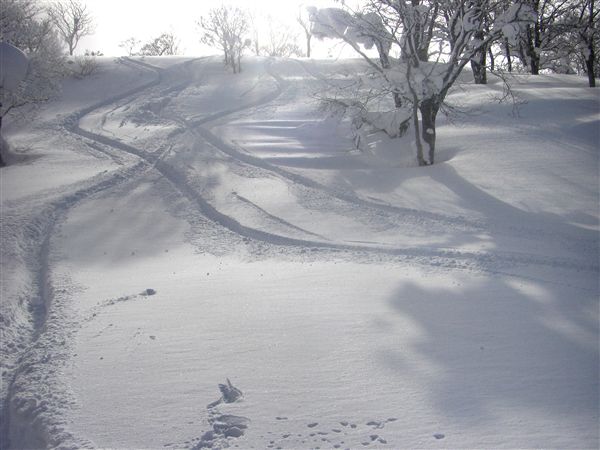 c0081645_23291310.jpg