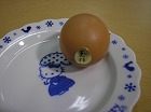 感動（＠＠）卵ごはん_d0118053_101139100.jpg