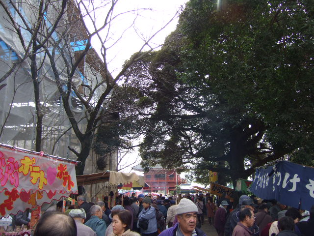 e0009760_15431962.jpg