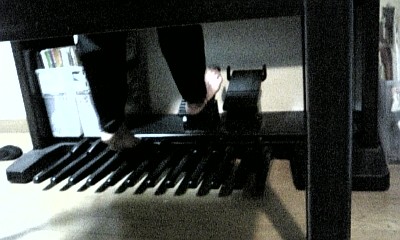 f0111366_1939598.jpg
