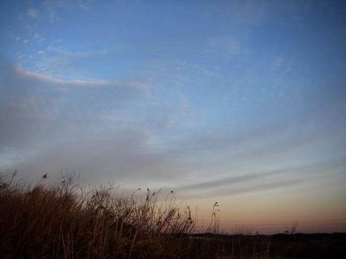 b0093678_23444123.jpg