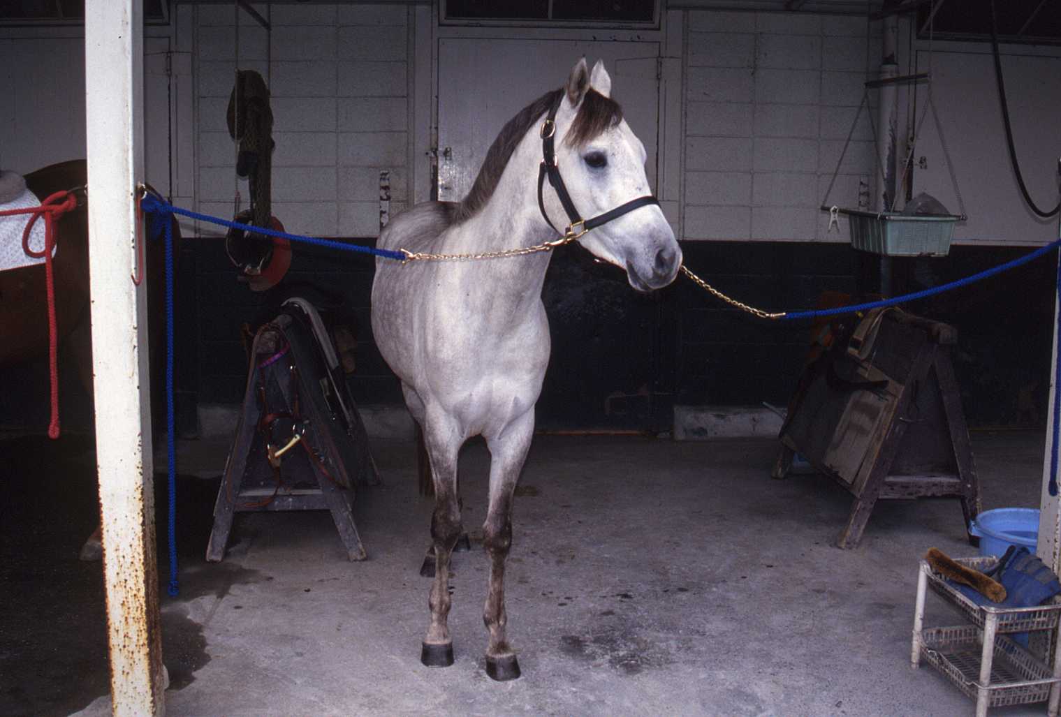 c0077280_1651125.jpg