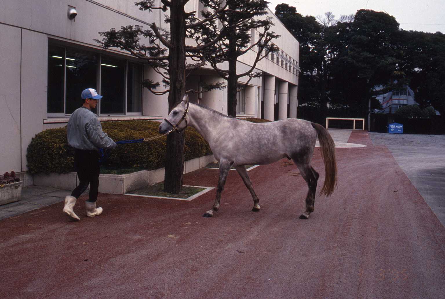 グレースコーサーの軌跡8　ＪＲＡ馬事公苑_c0077280_16592547.jpg