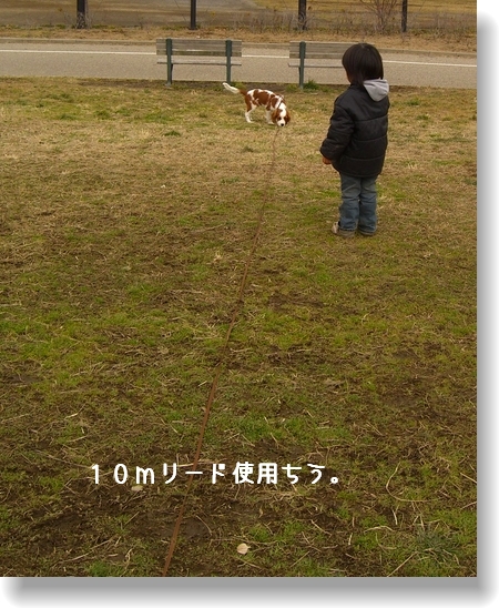 c0040201_19473561.jpg