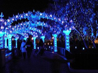 f0045004_22473882.jpg