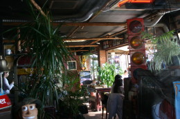 a0007906_1943091.jpg