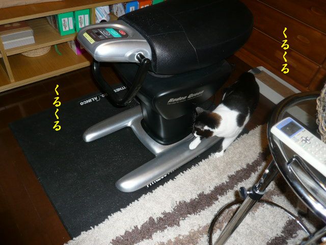 e0094407_22291288.jpg