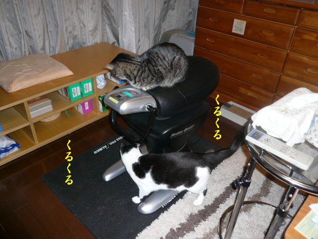 e0094407_2256617.jpg