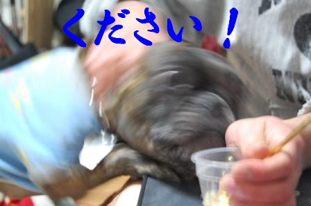 c0130324_2375210.jpg