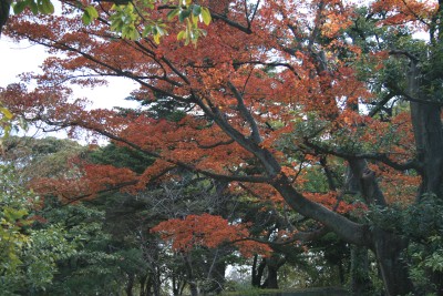 京都２日目_c0123730_9102566.jpg