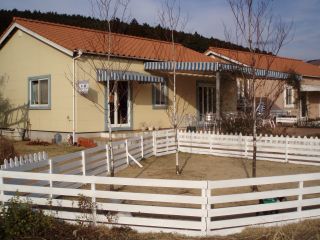 e0097536_20204893.jpg