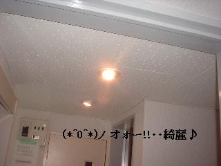 f0031037_19204640.jpg
