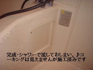 f0031037_1924321.jpg