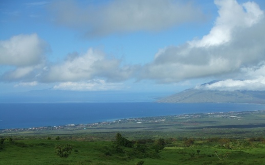 e0015343_9421796.jpg