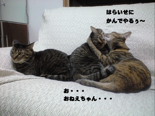f0116546_23394571.gif