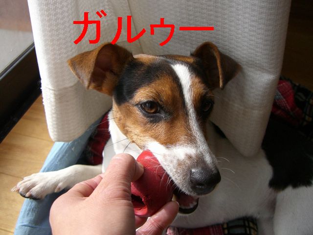 f0053952_16363057.jpg