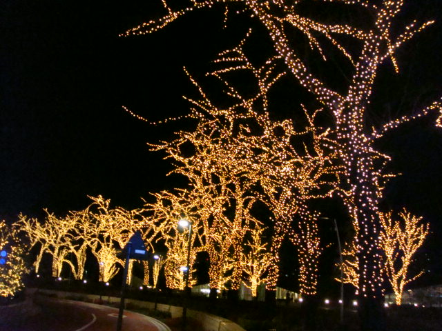 f0036857_2158513.jpg