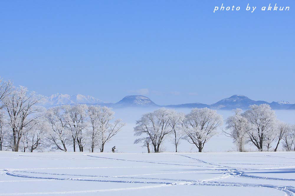 綺麗な樹氷より～_a0039860_19382427.jpg