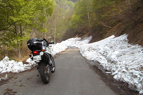 a0083760_20553828.jpg