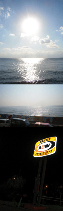 a0014067_23304066.gif