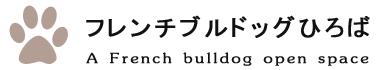 歯みがきです。_f0143269_11121254.gif