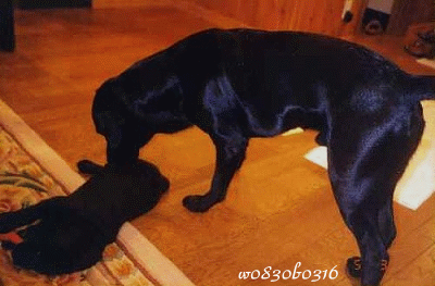 c0149893_2330264.gif