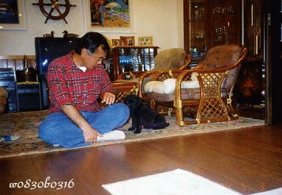 c0149893_23303987.gif