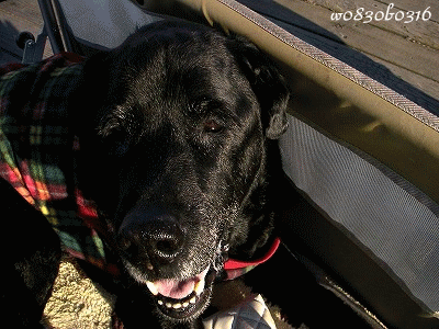 c0149893_233568.gif
