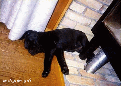 c0149893_23385262.gif