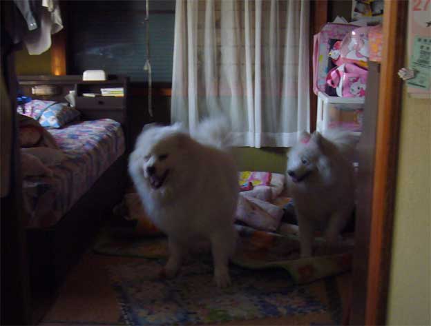 e0018604_17451594.jpg