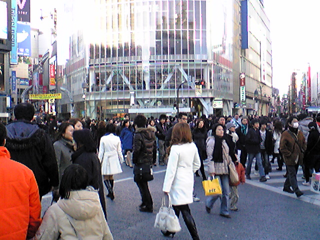 a0100206_2317674.jpg