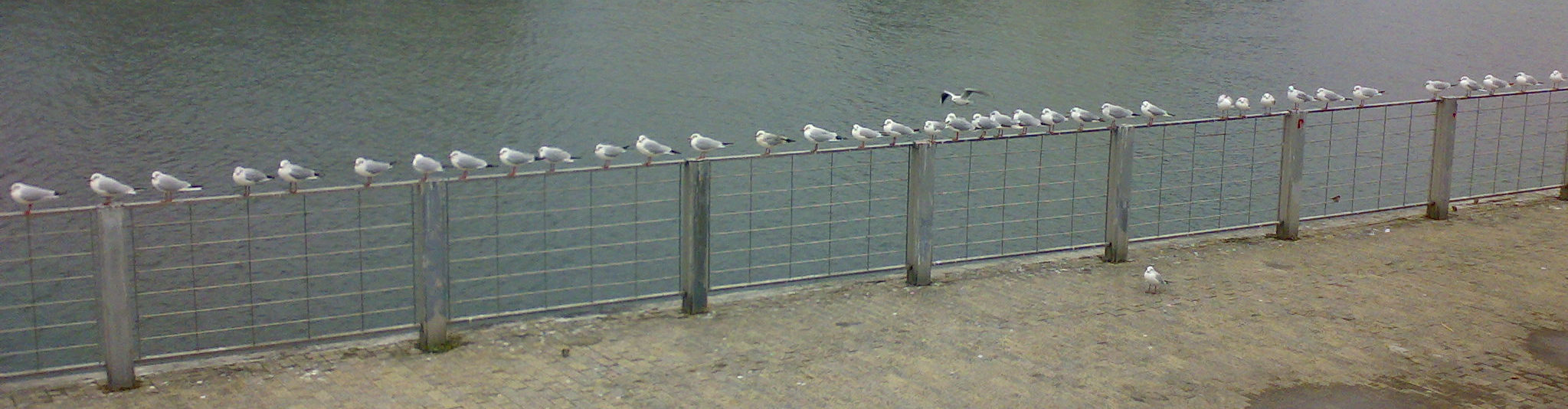 c0028907_0574460.jpg